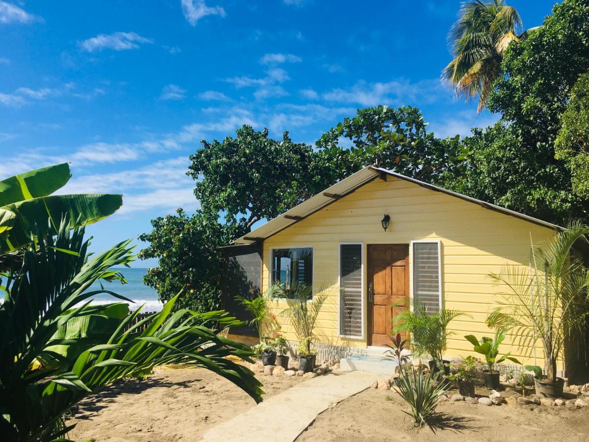 Katamah Beachfront Guesthouse Treasure Beach Ngoại thất bức ảnh